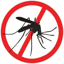 Natural Insect Repellent Guide