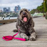 Ziippup Dog Lead with Built-in Poop Bag Holder - Pink