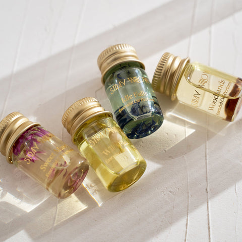 Stray Willow - Perfume Discovery Set