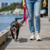 Ziippup Dog Lead with Built-in Poop Bag Holder - Pink