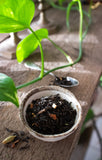 Gaia Botanica Kashmiri Chai Refill - Loose Leaf Tea 140g