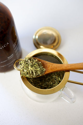 Gaia Botanicals Focus 茶补充装 - 散叶 120g 最佳食用日期为 2024 年 1 月