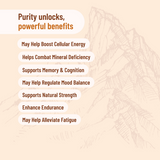 Evolution Botanicals - Himalayan Shilajit 120 Capsules