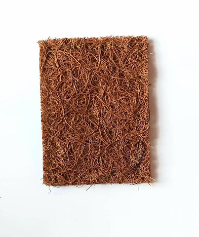 Bare & Co. - Coconut Scrub Pads - Twin Pack