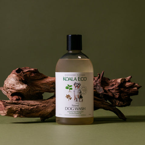 Koala Eco Natural Dog Wash - 500ml