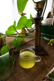 Gaia Botanicals Focus Tea - Loose Leaf 120g