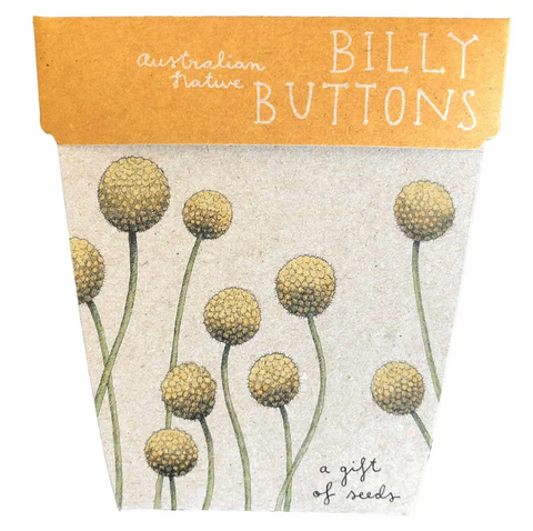 Sow 'n Sow - A Gift Of Seeds - Billy Buttons