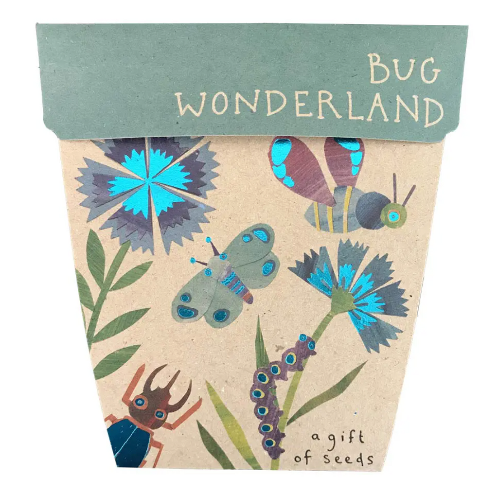 Sow 'n Sow - A Gift Of Seeds - Bug Wonderland