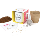 Urban Greens - Grow Your Own Tea Kit - Chamomile
