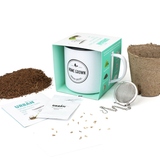 Urban Greens - Grow Your Own Tea Kit - Peppermint