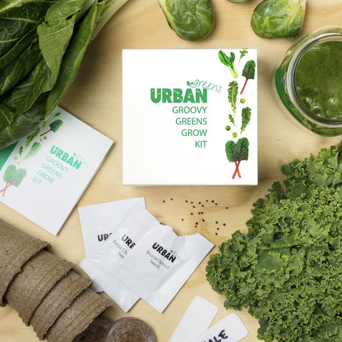 Urban Greens -  Grow Kit - Groovy Greens