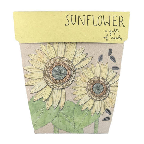 Sow 'n Sow - A Gift Of Seeds - Sunflower