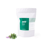 Urban Greens - Windowsill Seed and Soil Refill - Kale