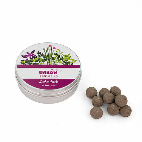 Urban Greens - Seed Balls - Kitchen Herbs
