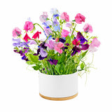 Urban Greens - Pot of Flowers Kit - Fragrant Sweet Pea