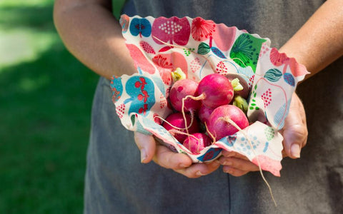 Honeybee Wrap DIY 蜂蜡包裹套装 - 中号