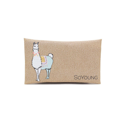 SoYoung - Condensation Free Ice Pack - Groovy Llama