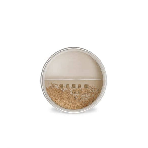 Raww - From The Earth Loose Mineral Powder - Honey (12g) (OLD PACKAGING)