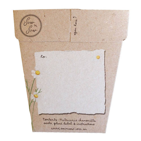 Sow 'n Sow - Chamomile A Gift Of Seeds